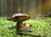 开云体育在线-2026世界杯F组关键战，乌拉圭横扫美国，三笘薰带队取胜—一场改写足球格局的唯一之夜