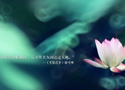 开云sport-孤星独耀，2026世界杯H组强强对话，布罗佐维奇一剑封喉，葡萄牙大胜突尼斯