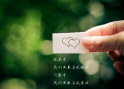 开云APP-钢铁骑士对阵星空独行侠，武切维奇证明舞台越大光芒越盛