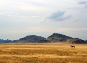 开云体育app-硬仗中的璀璨星光，活塞鏖战快船，字母哥关键先生定胜局