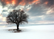 开云体育中国-新王炸诞生？班凯罗47+12打崩恩比德，鹈鹕七人上双擒76人