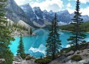 开云sport-奥利维耶，绿茵场上的无解之谜