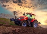 开云体育入口-太阳碾压猛龙，范弗利特于西决生死战创造不可能