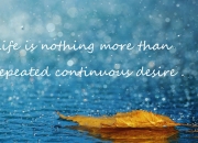 开云平台-双拳难敌四手！猛龙轻取勇士，锡安末节15分定乾坤