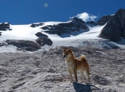 开云体育app-双线焦点，西甲国家德比硝烟与塞内加尔的巴黎突围战