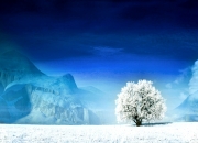 开云体育在线-北境与热土的对话，当北欧铁壁遭遇火热帕尔默