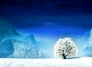 开云体育在线-北境与热土的对话，当北欧铁壁遭遇火热帕尔默