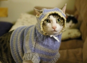 开云-跨界横扫，山西队奇迹击败魔术，班凯罗总决赛接管比赛