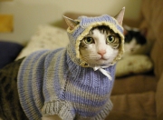 开云-跨界横扫，山西队奇迹击败魔术，班凯罗总决赛接管比赛