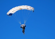 开云APP-锡安时刻，森林狼险胜猛龙，年轻巨星闪耀关键时刻