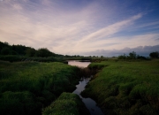 开云sport-以十四行诗节奏打球，新疆队驯化凯尔特人，杰伦格林成末节诗人