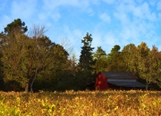 开云APP-犹他高原的冷焰，布克焚毁爵士铁壁，纽约客场奏凯