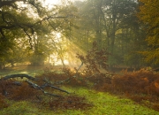 开云体育登录-铁血纪律与孤胆传奇，年度战役双重奏