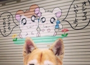 开云体育官网-当手术刀遇见狂想曲，范弗利特完美控场与爵士火力交响下的唯一性胜利