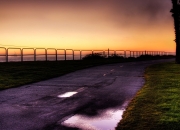 开云体育APP下载-阿克，卡塔尔沙漠中绽放的紫百合之刺