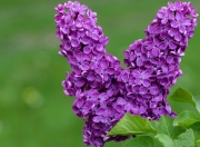 开云体育在线-铁幕之下，当安哥拉的闪电撞上范戴克的叹息之墙