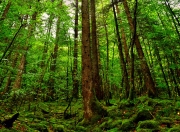 开云体育app-奥纳纳神扑救赎旧主，贝蒂斯炮火误伤爱尔兰新星