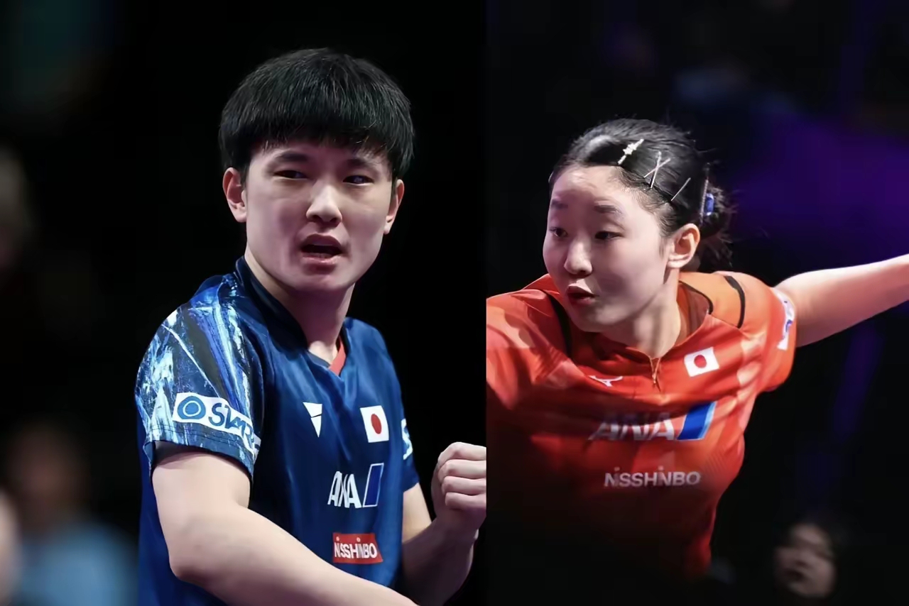 波兰队逆转韩国队，张本智和惊艳四座