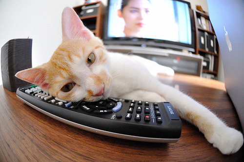 终场哨响前的魔术，当范弗利特画下休止符