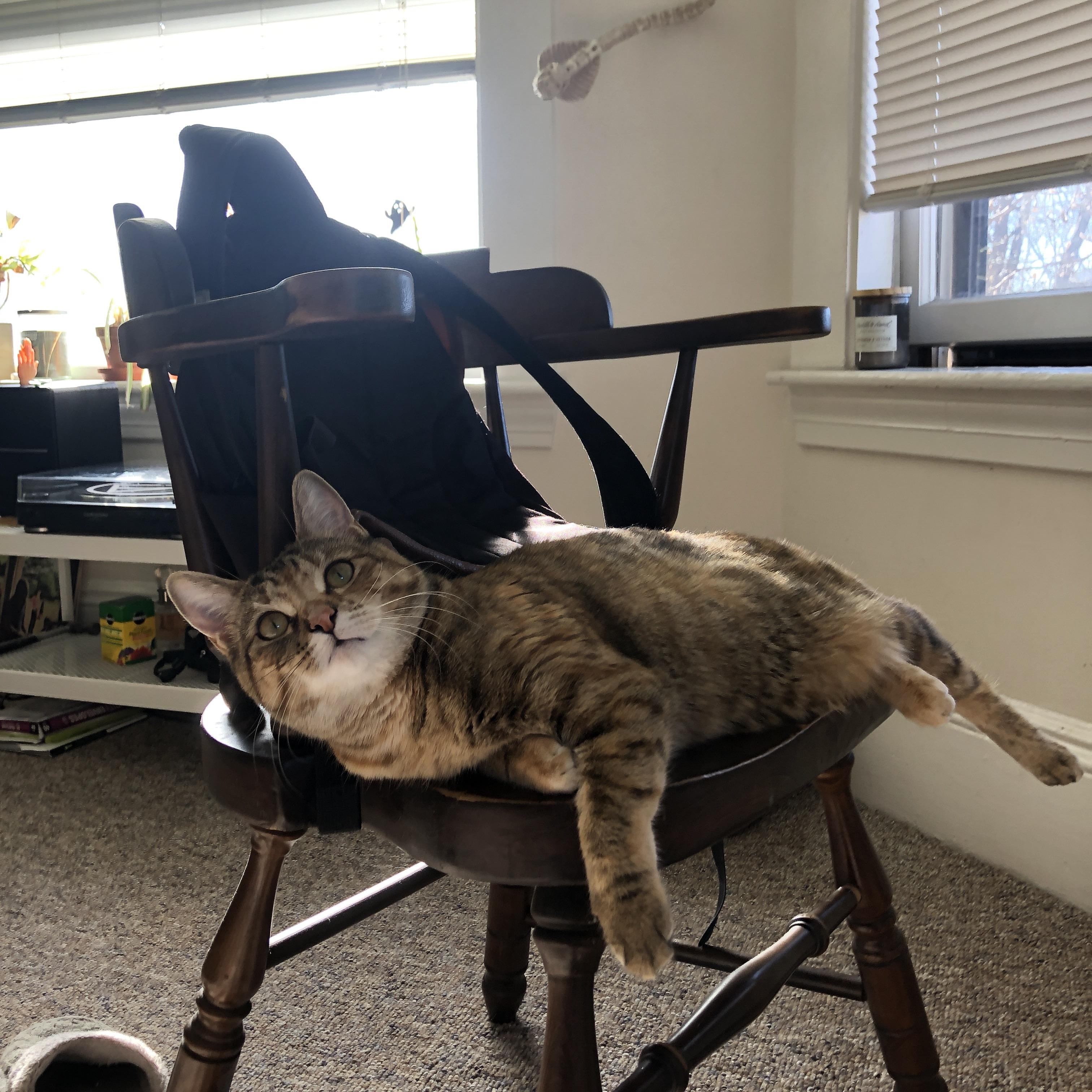 克城往事与达拉斯新风，浓眉如天堑，独行侠横扫奇才