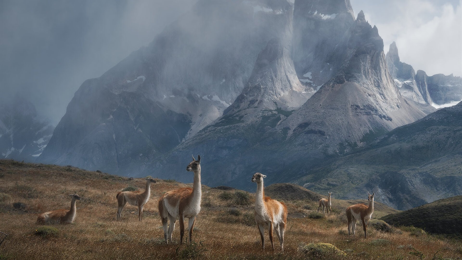 落日熔金时，哈利伯顿终场绝响与太阳对山西的战术审判