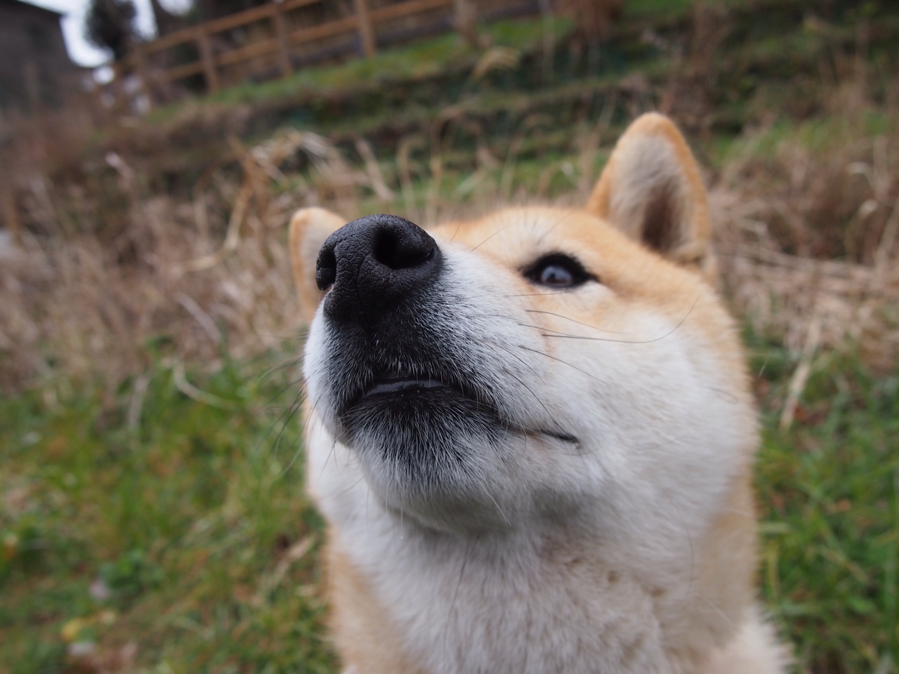 奥运前哨战，快船打穿湖人，这场洛城唯一性如何定义赛季拐点？