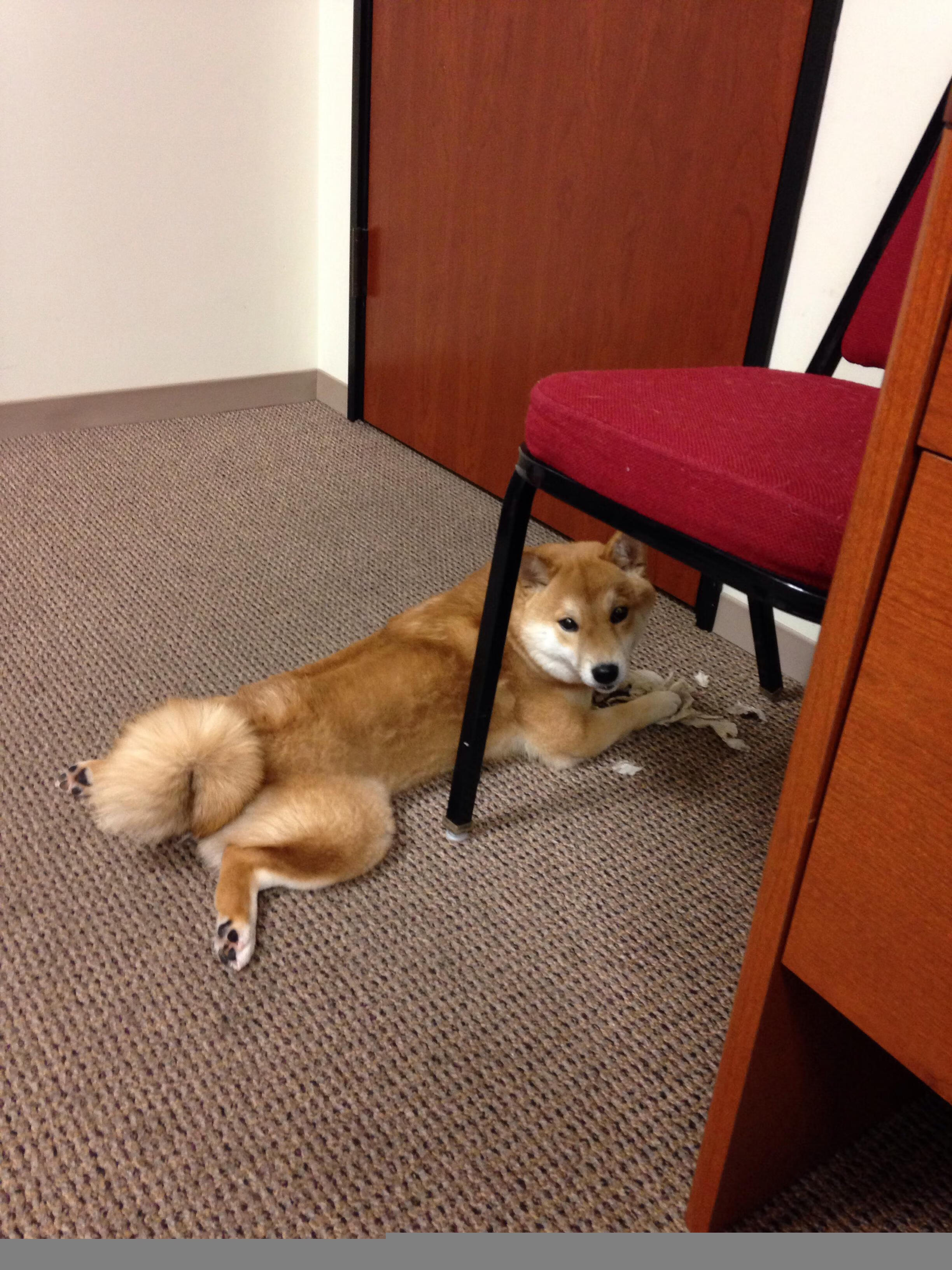 风暴眼，当拉梅洛以无名者姿态撕裂上海队的钢铁防线