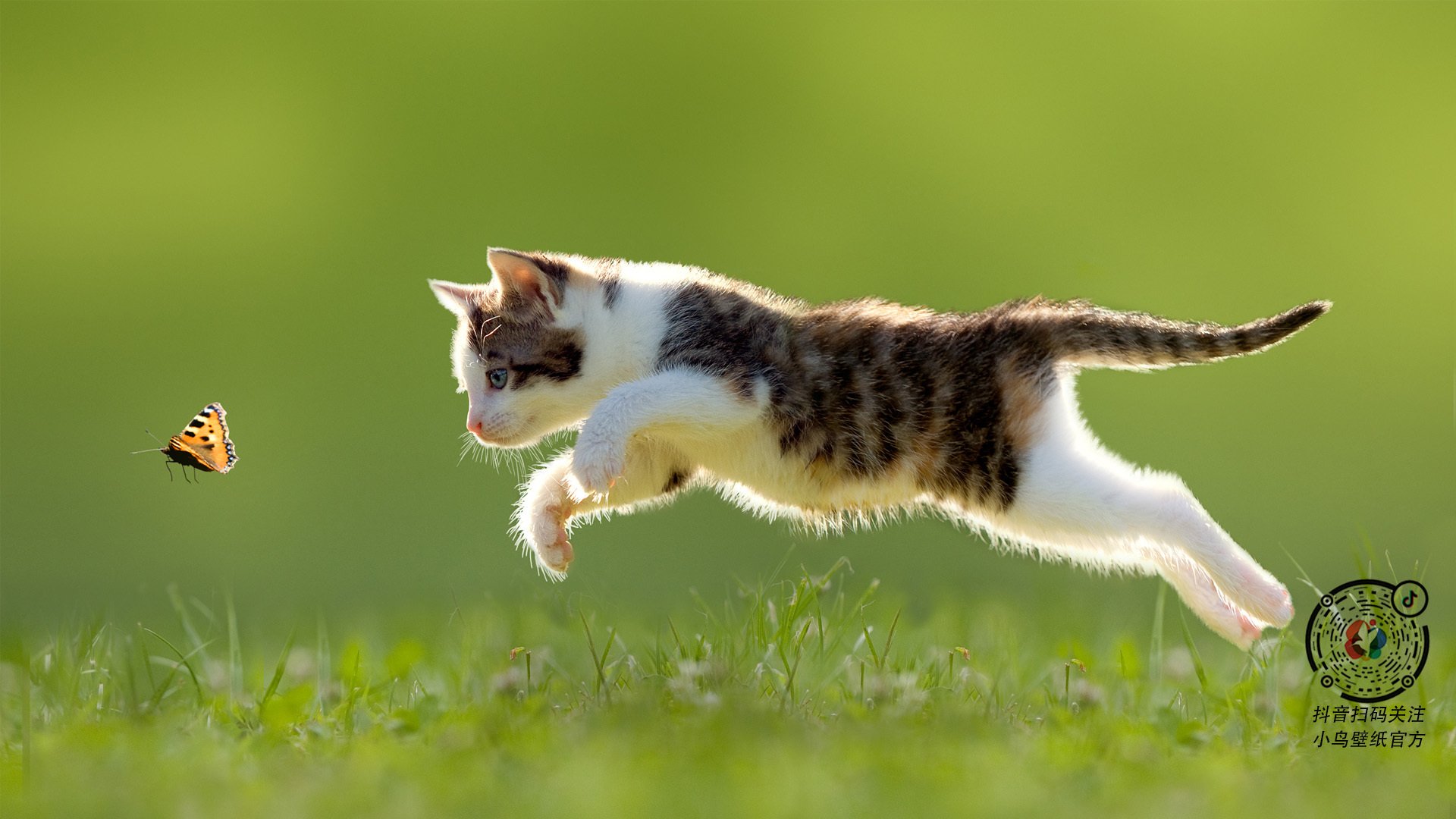 唯一救世主，皮克与那个撕碎宿命的七分钟