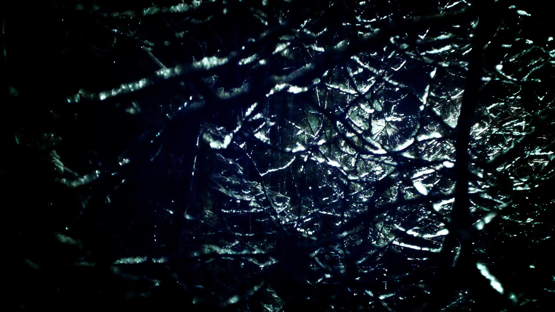 奥利维耶,绿茵场上的无解之谜