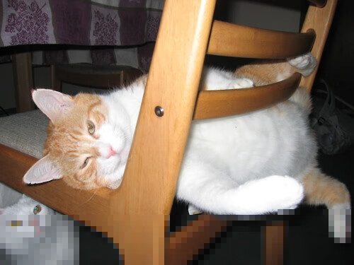 冰与火的决胜局，马克西灼穿开拓者，奇才逆转乐章背后的寂静革命