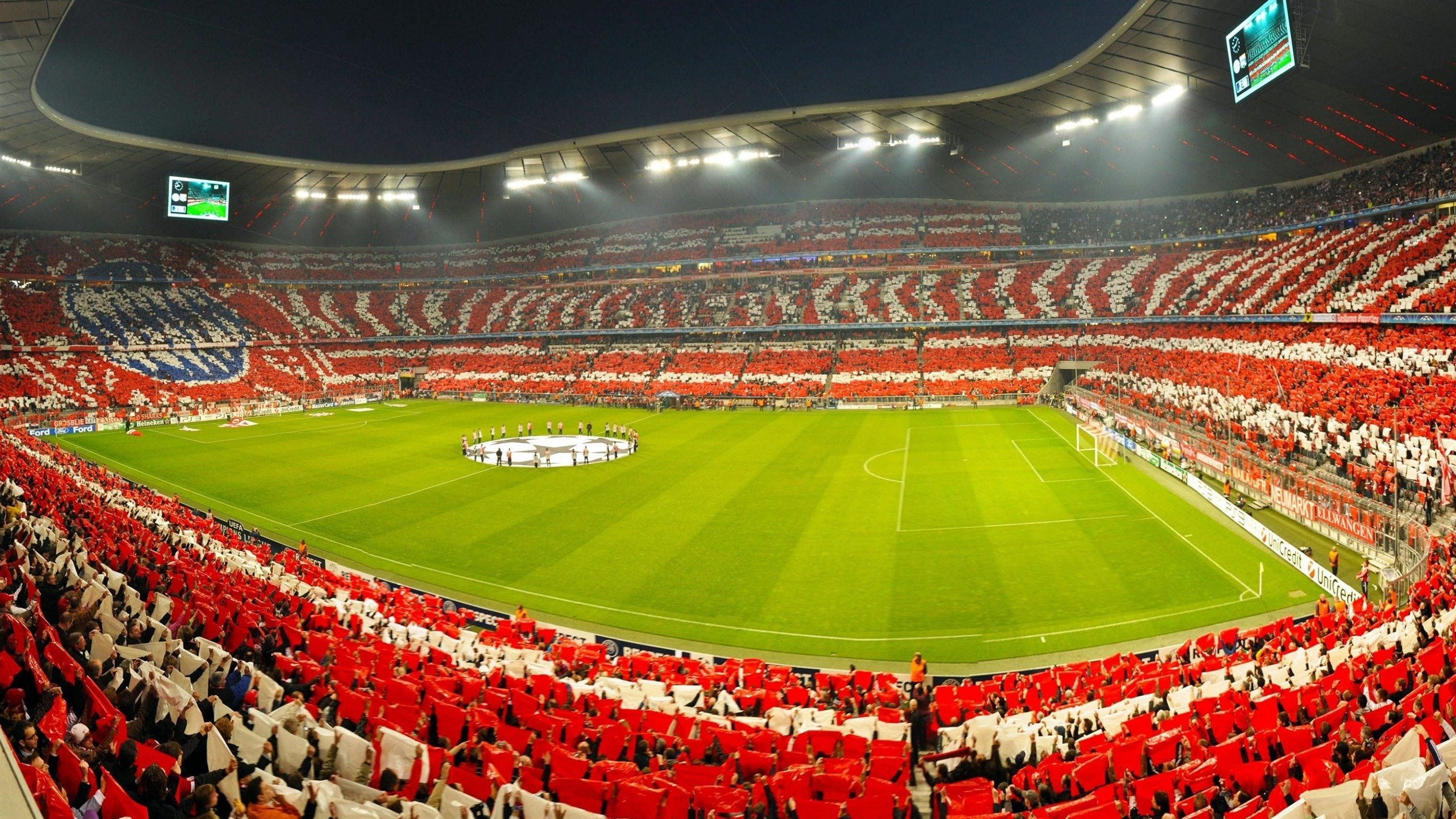 在伦敦的雨夜,哥伦比亚玫瑰逆风绽放