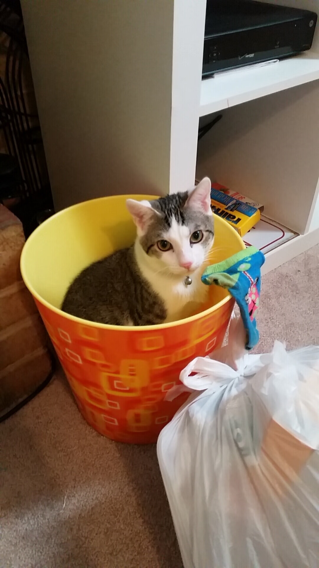 篮球场上的时空裂隙，当蓝白军团遇见禁区堡垒