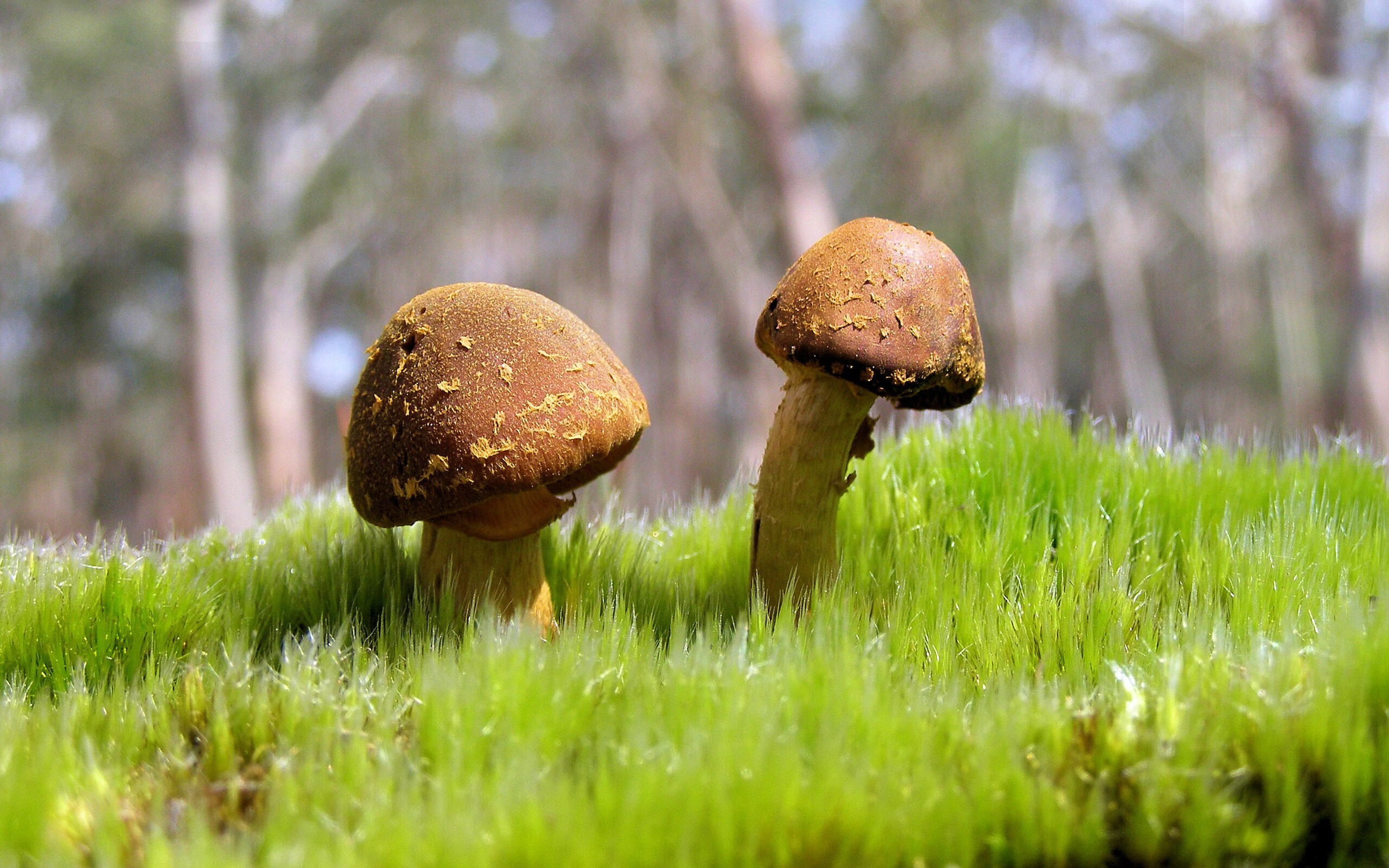 撕裂金缕衣，照亮混沌夜，坎特的隐形战争与唯一性宣言