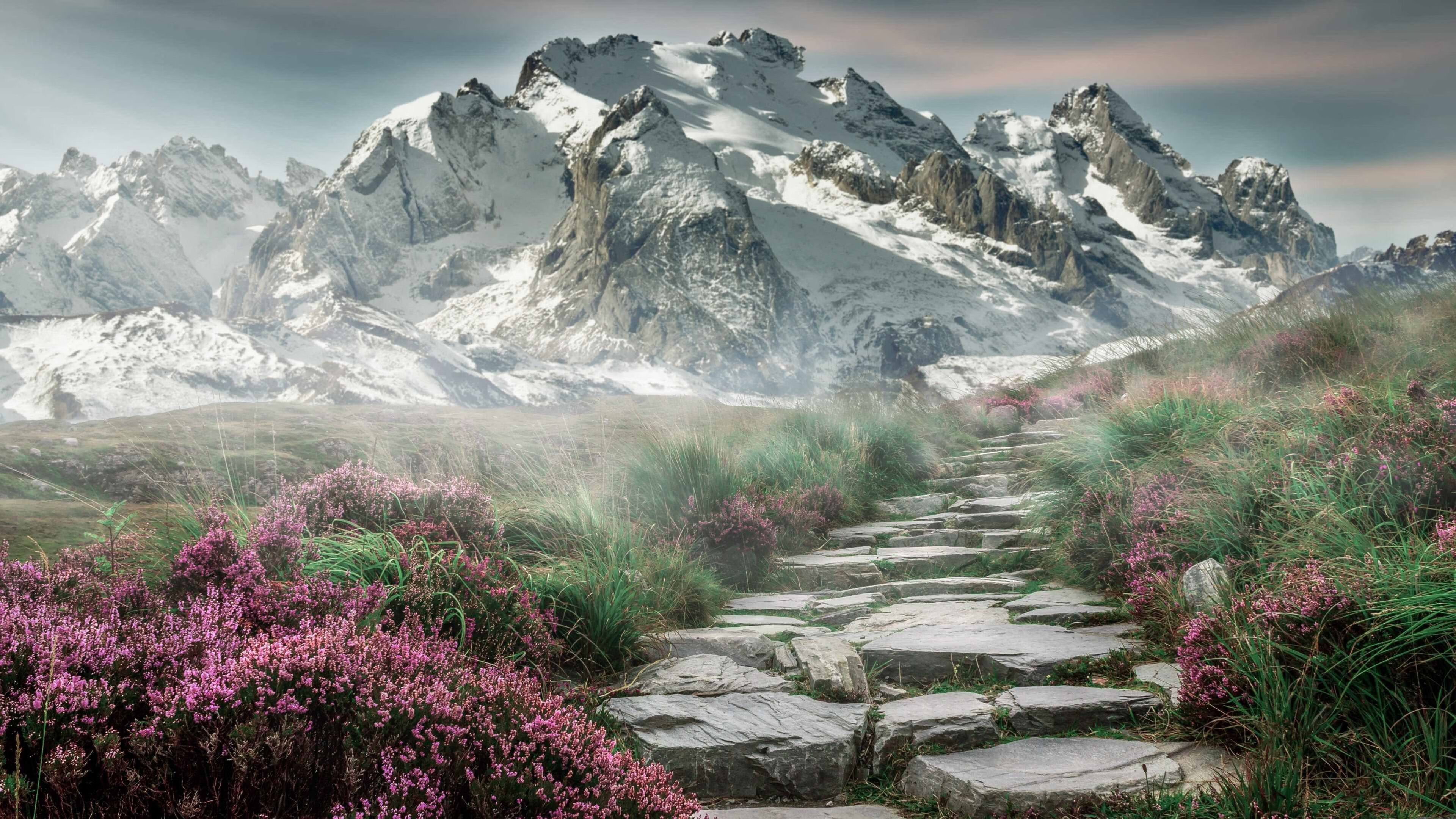 国王铁骑踏碎天山梦，范弗利特于权杖之巅加冕东决之王