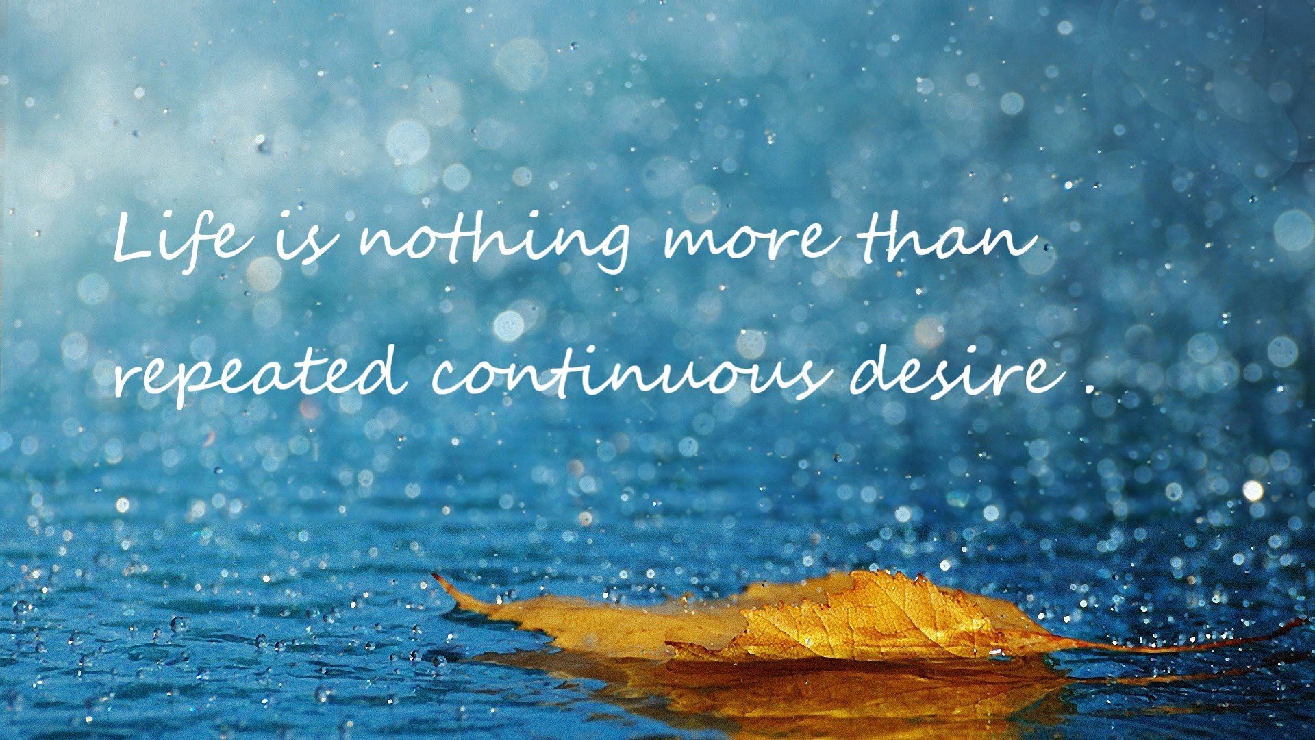 双拳难敌四手！猛龙轻取勇士，锡安末节15分定乾坤