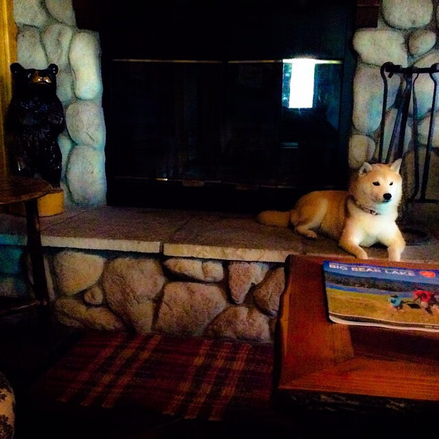 F1极速狂飙与绿茵教科书，当巴林赛道轰鸣遇见久保建英的精准艺术