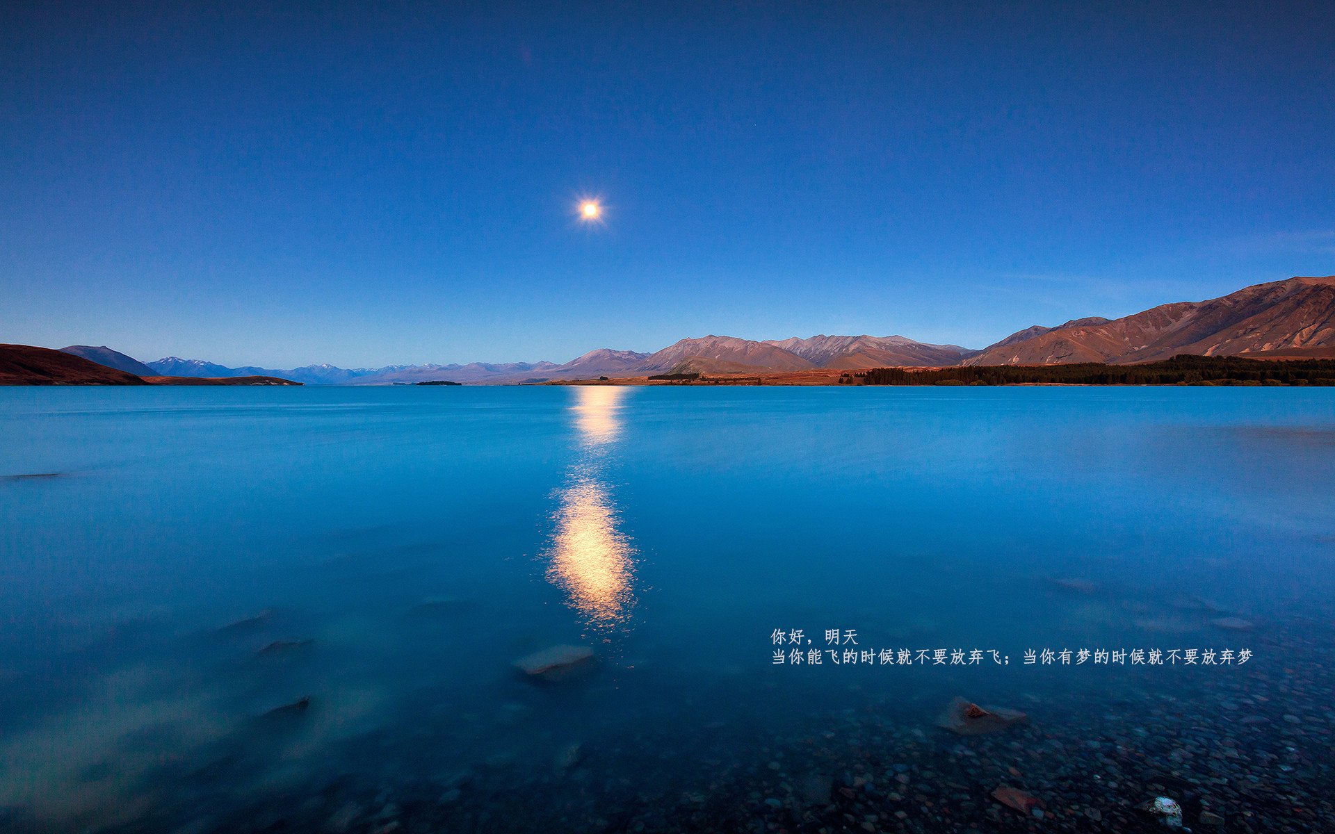 法比尼奥的防守艺术，摩纳哥对阵阿森纳的欧冠经典之战