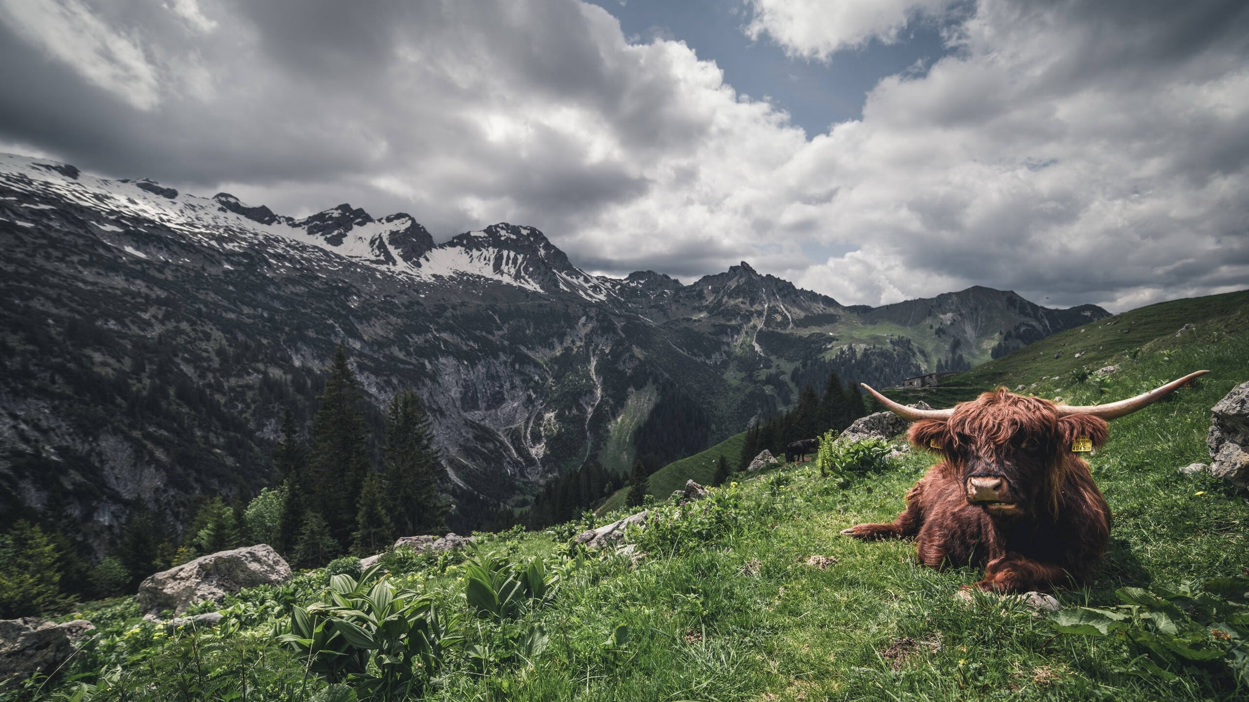 英雄主义与团队风暴，恩比德单骑救主，马刺末节风暴卷走黄蜂