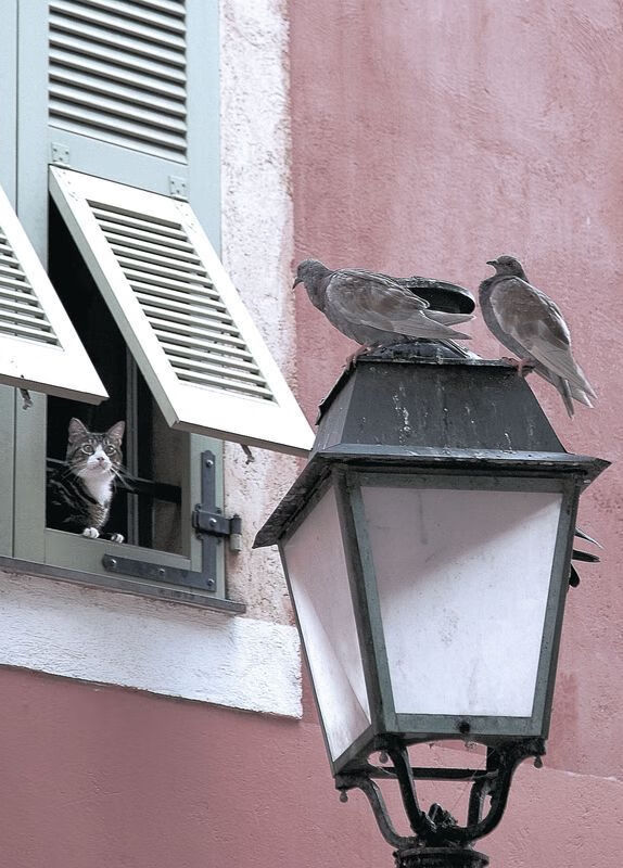 时空裂缝中投出唯一三分，当克莱在骑士血拼热火时突然降临