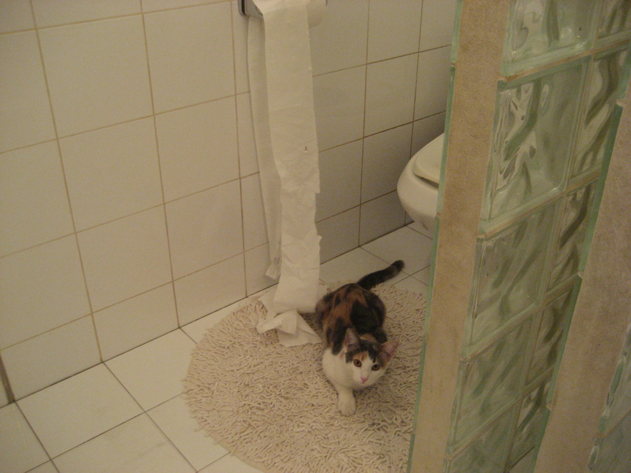 生死战狂飙45分！布克末节接管比赛，开拓者主场击退巨人杀手吉林队晋级四强