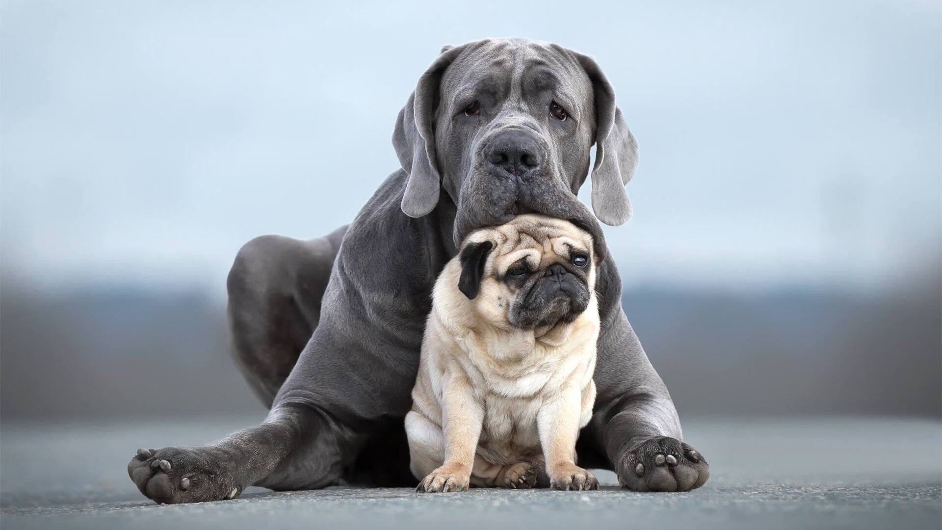 当德罗赞用中距离跳投对抗时代，一场属于老派灵魂的胜利