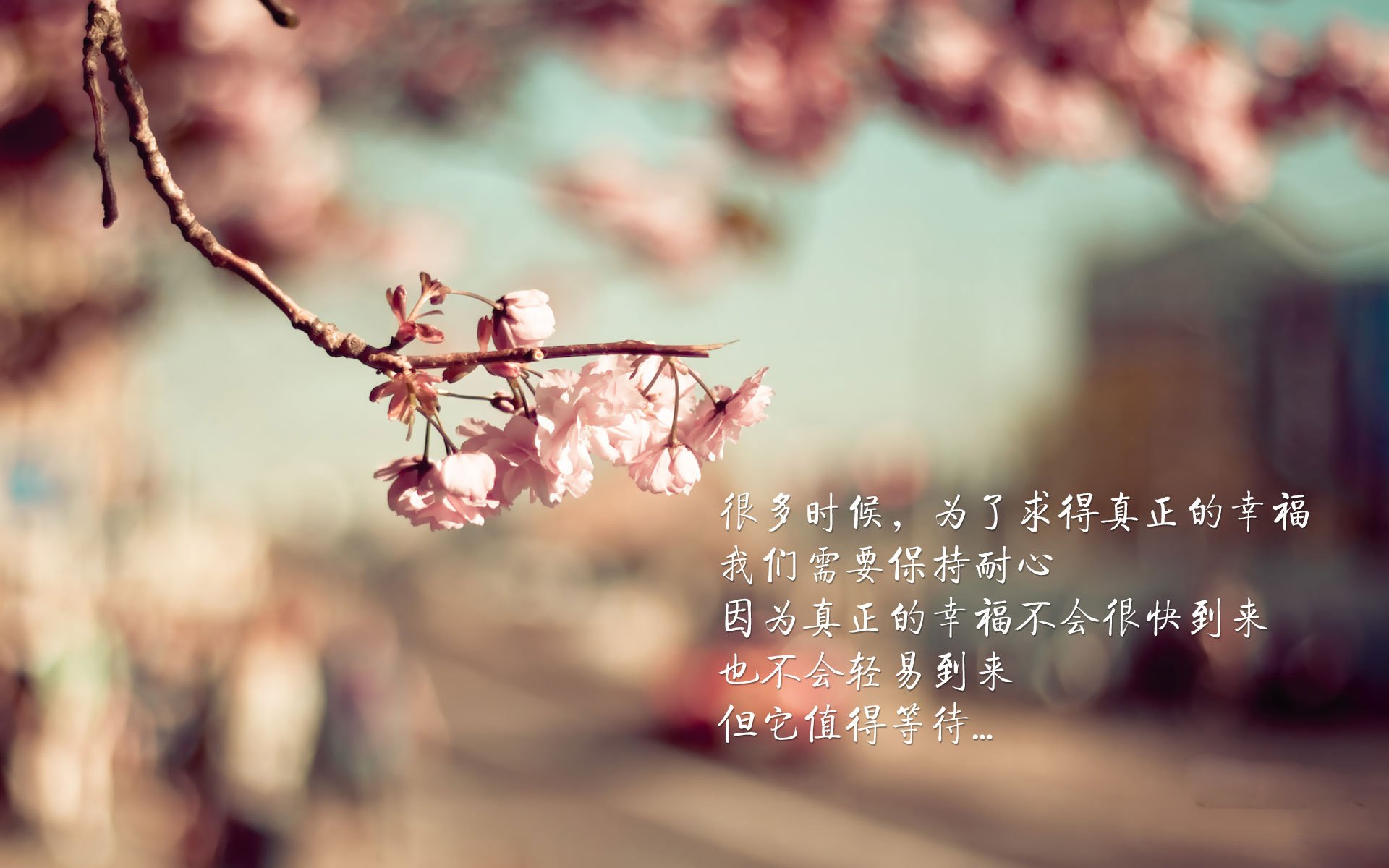 唯一性，当绝杀与接管，成为命运不容篡改的签名