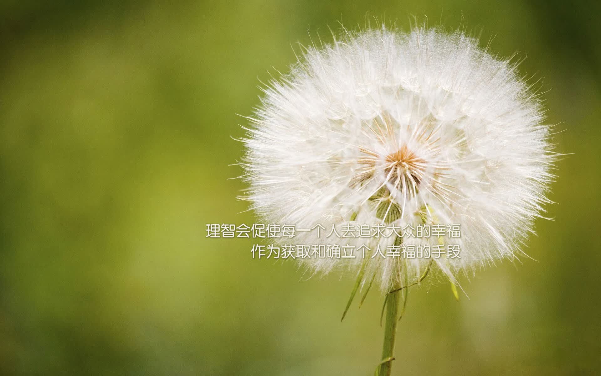 流金之夜,独行者的歧路与归途