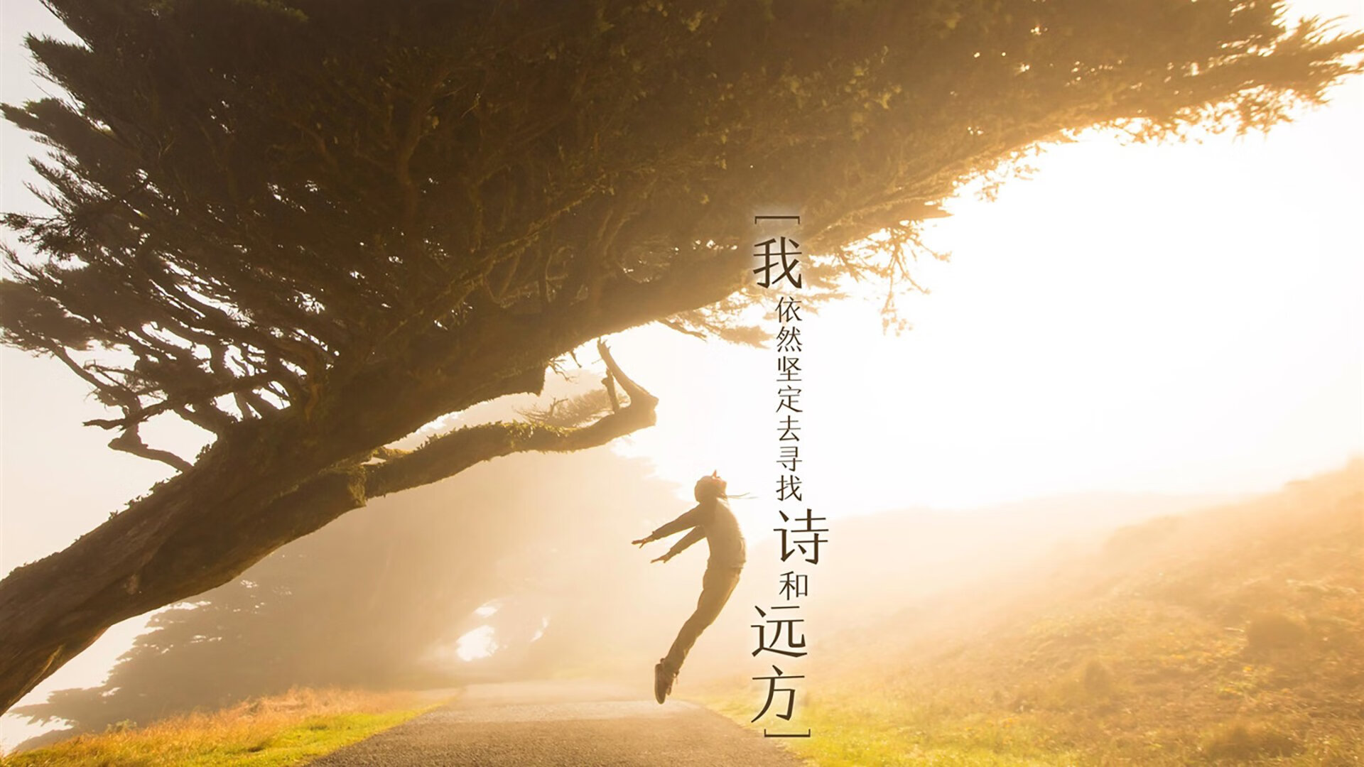 一剑封喉,萨卡点燃进攻狂潮,哥伦比亚在2026世界杯C组焦点战中绝杀沙特