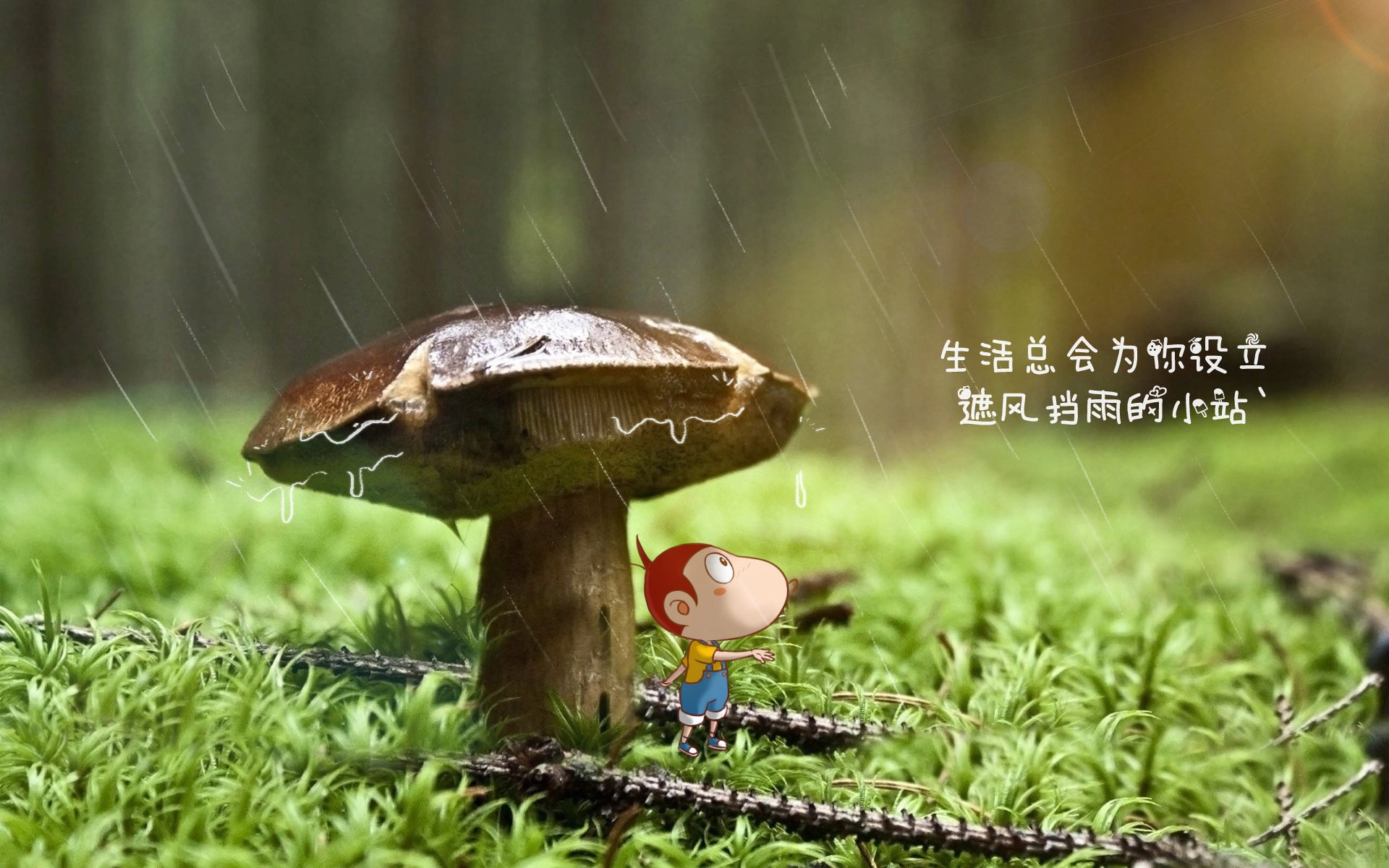 2026世界杯F组关键战,乌拉圭横扫美国,三笘薰带队取胜—一场改写足球格局的唯一之夜