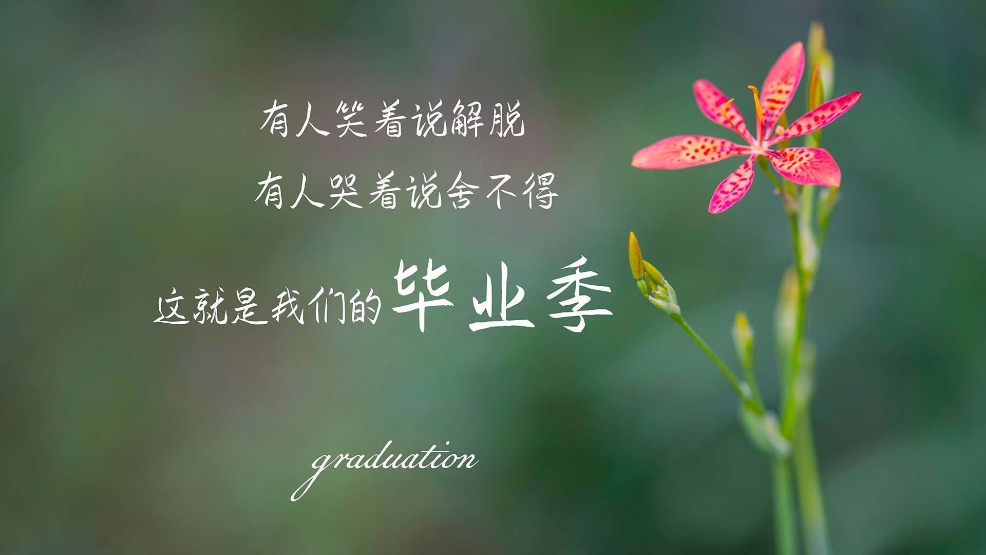 地中海的蓝与安第斯山脉的红,2026之夏,布罗佐维奇用第三只眼撕开秘鲁防线