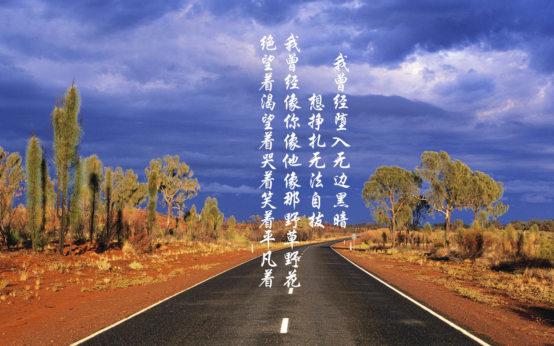 沙漠风暴,莱万多夫斯基的节奏魔术,阿联酋在2026世界杯B组焦点战中撕裂五星巴西