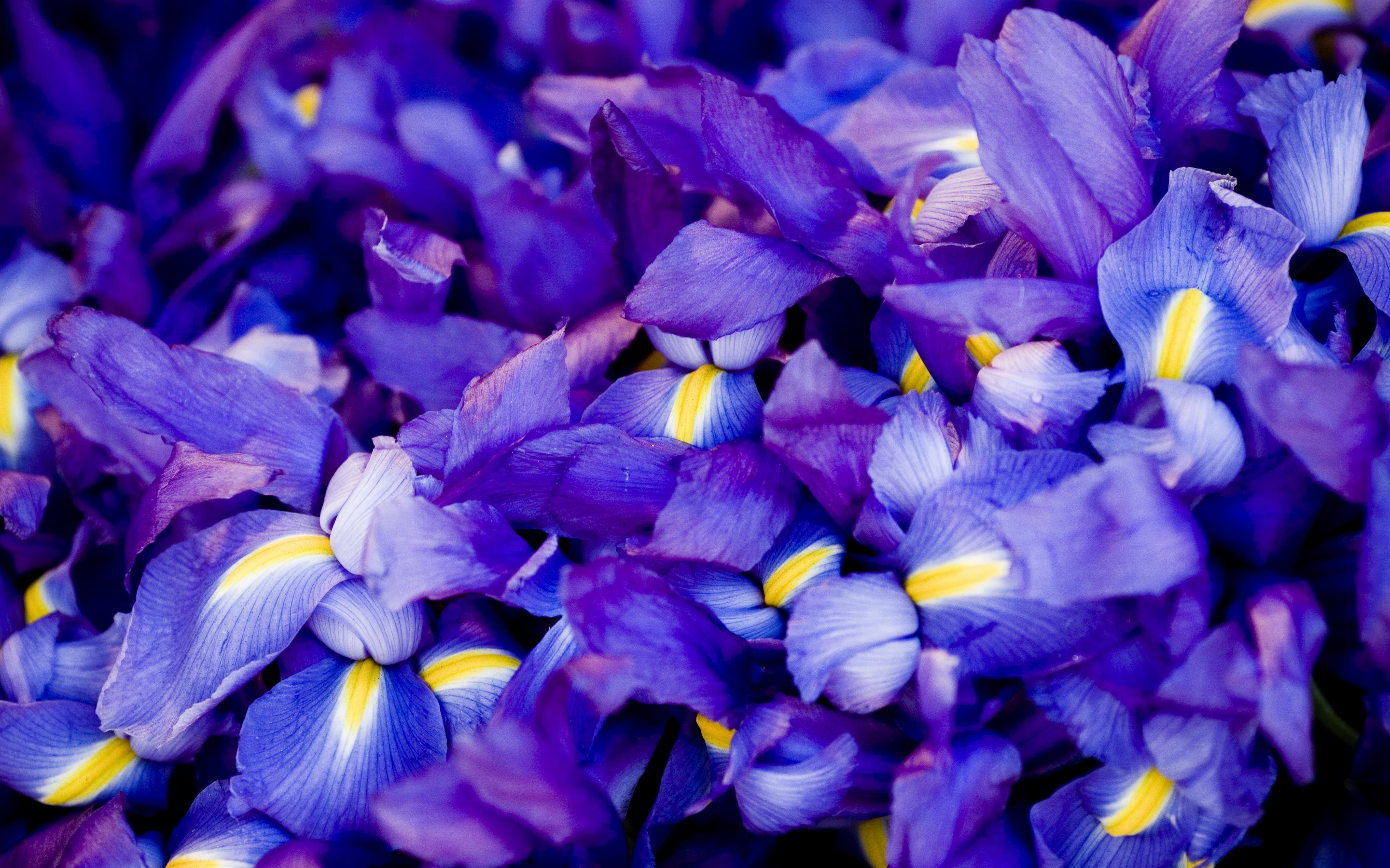 终场前0.3秒,非洲雄鹰撕裂欧洲枷锁,奥斯梅恩绝杀,2026世界杯F组死亡之局终破