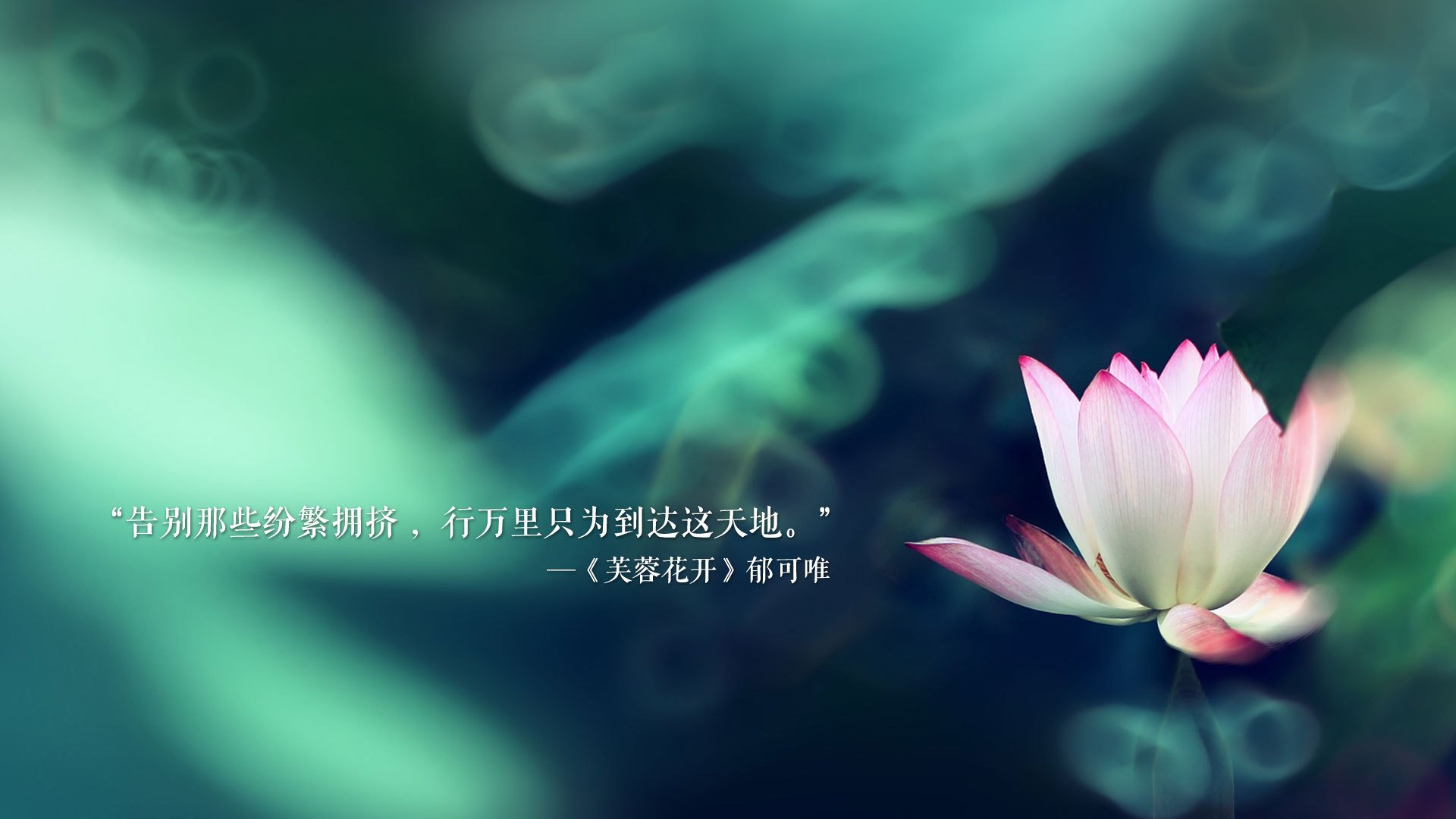 孤星独耀,2026世界杯H组强强对话,布罗佐维奇一剑封喉,葡萄牙大胜突尼斯