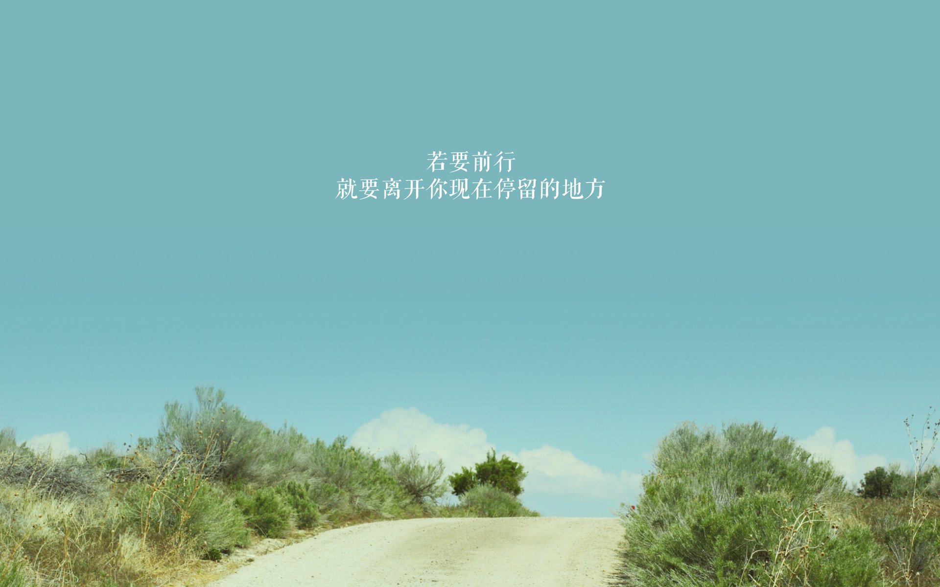 南美绿茵的秩序之光，当厄瓜多尔的钢铁防线，遇上内马尔的最后独舞